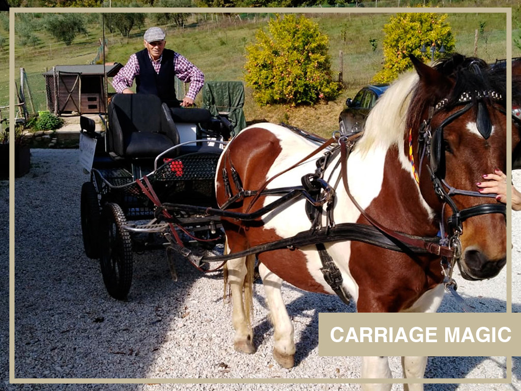 carriage magic